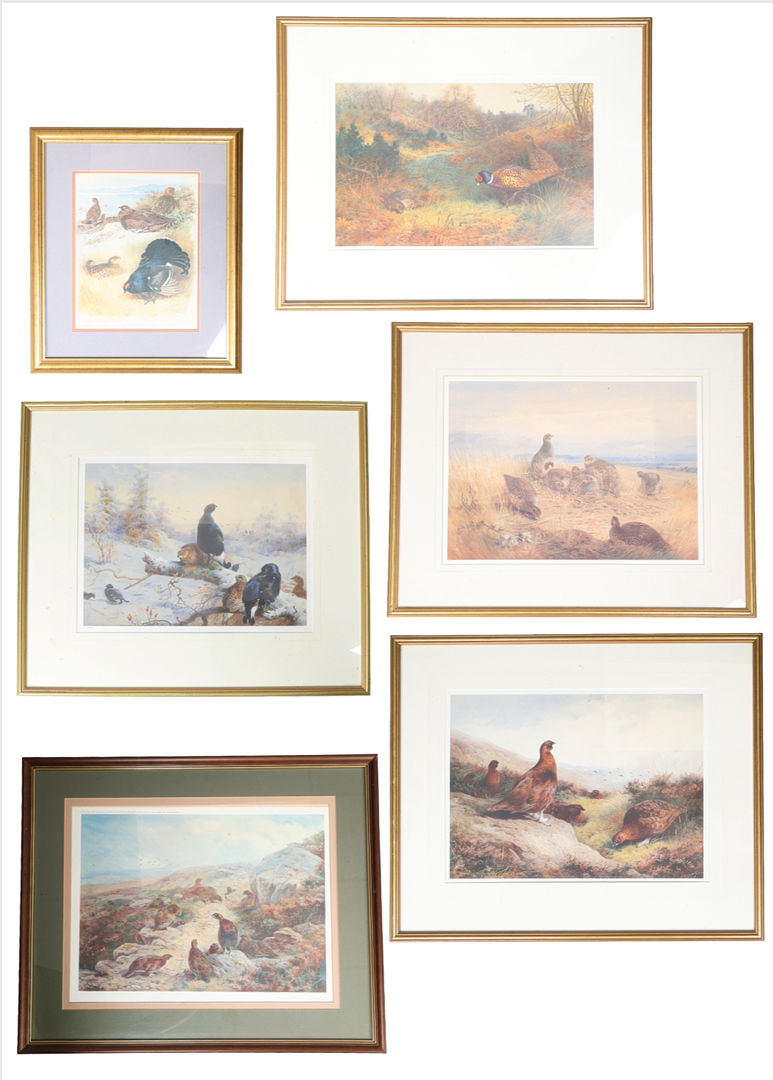AFTER ARCHIBALD THORBURN (1860-1935), 6 PRINTS OF GAME BIRDS.