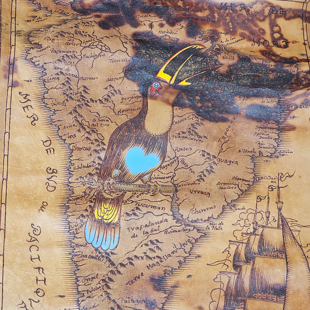 Mapa de Argentina en 1672, realizado en piel serigrafiada, manufactura siglo XX.