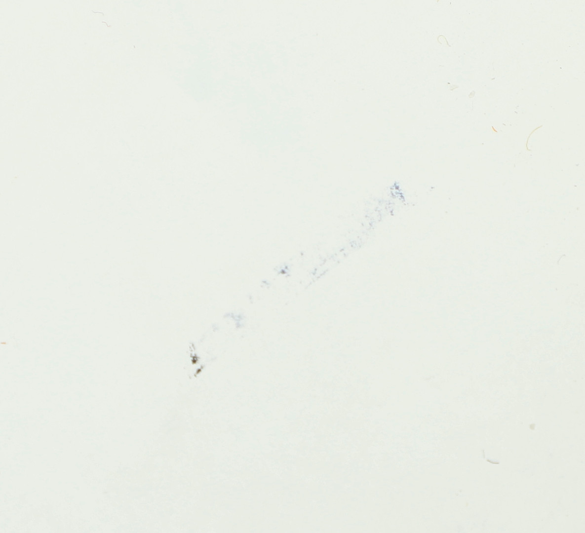 SOFFBORD, 1900/2000-tal.