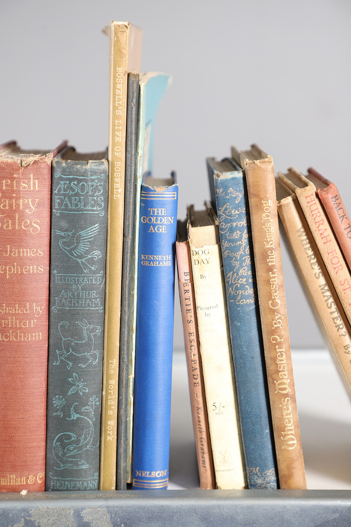 A COLLECTION OF NINETEENTH CENTURY AND LATER CHILDRENS ILLUSTRATED LITERATURE.
