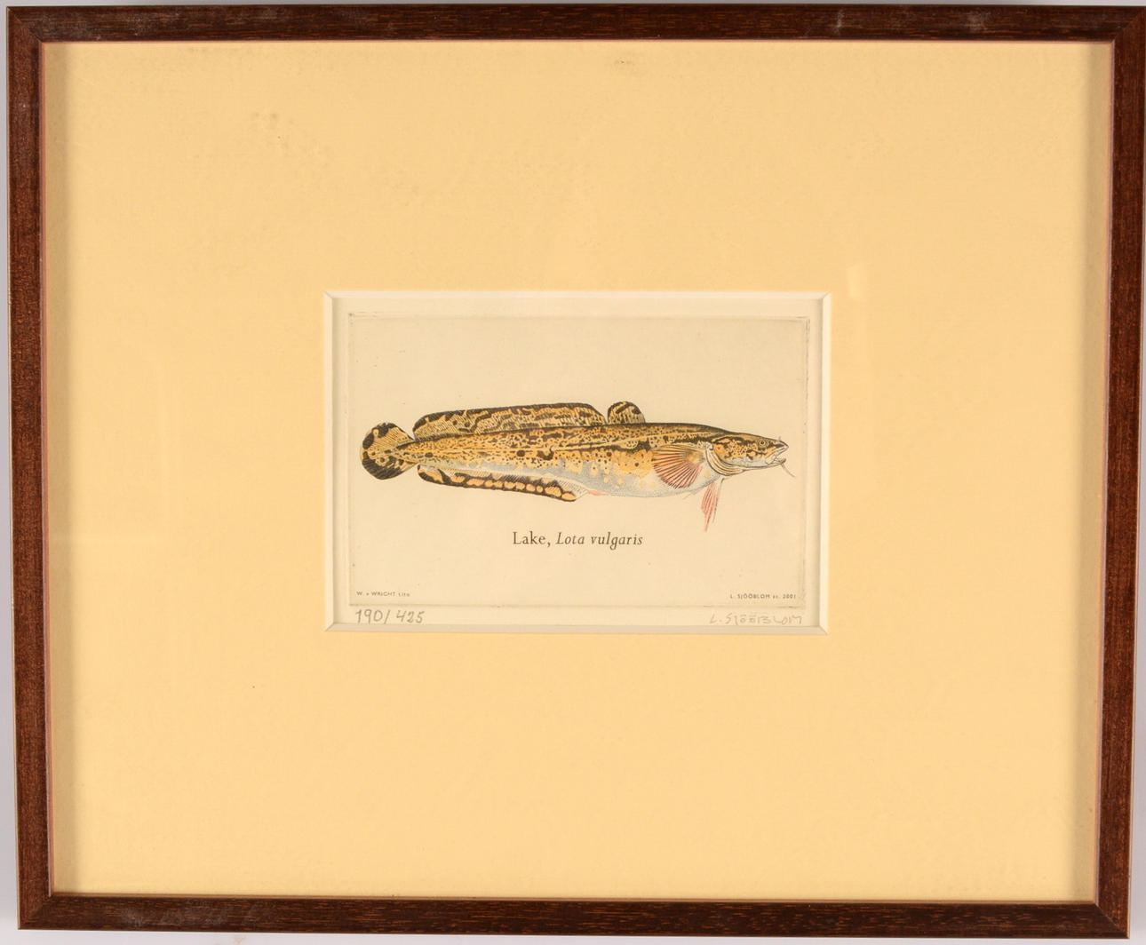 LARS SJÖBLOM. Färgetsning.