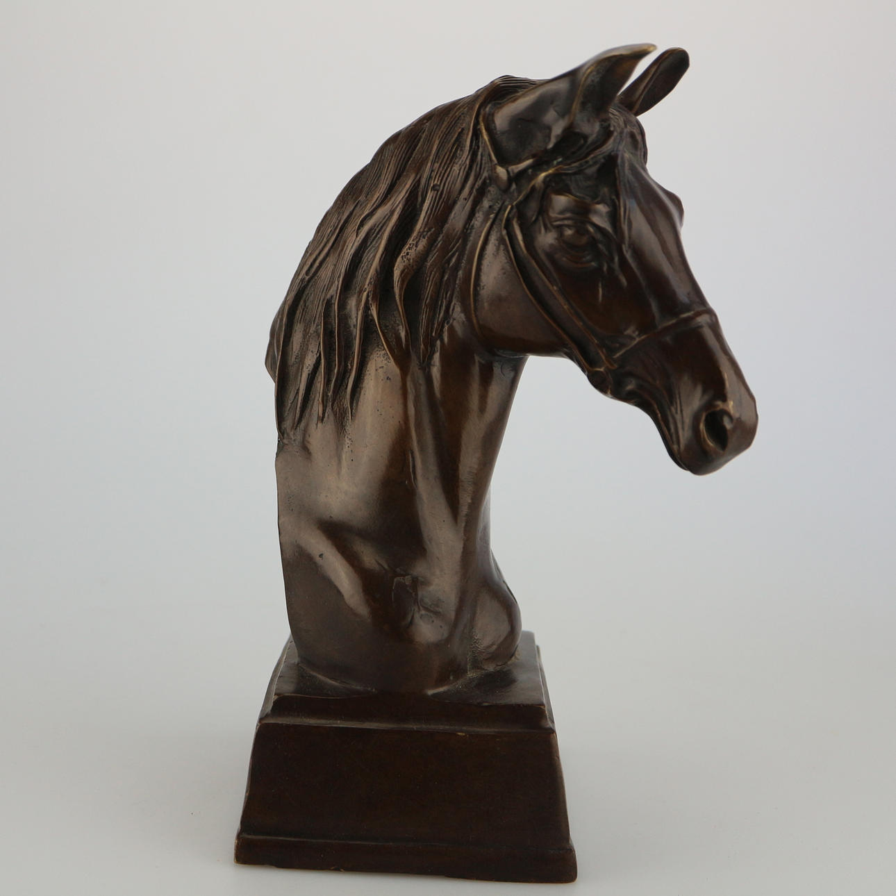 CABEZA DE CABALLO BRONCE.