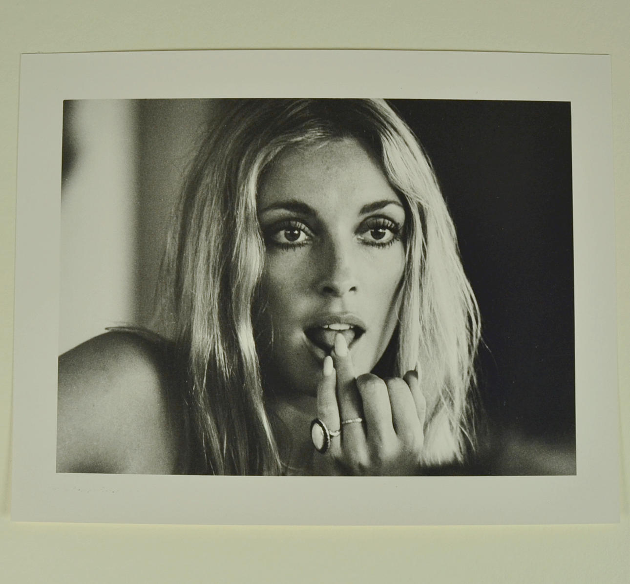 PETER BRÜCHMANN. PHOTOGRAPHY SHARON TATE.