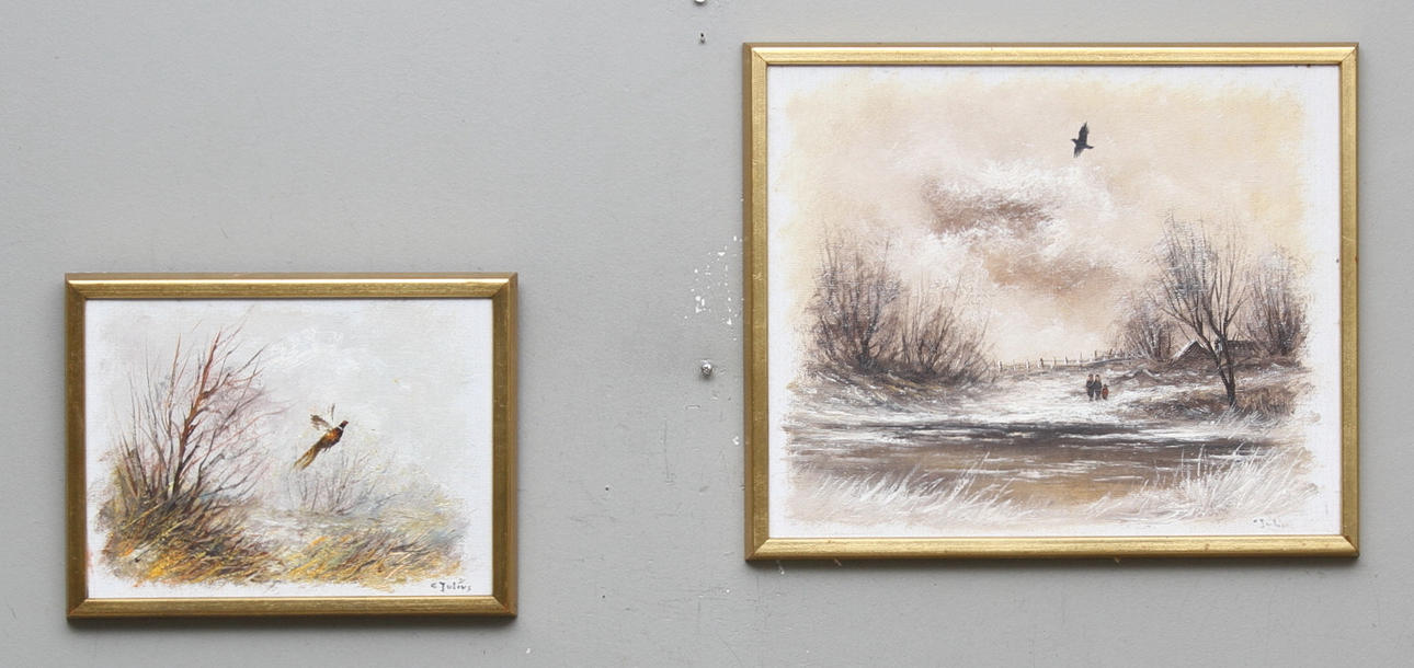 C JULIUS. Fåglar i natur. 2 st.