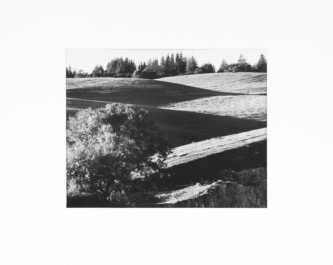 ANSEL ADAMS. silvergelatin, "University of California, Santa Cruz", numr 2/7.