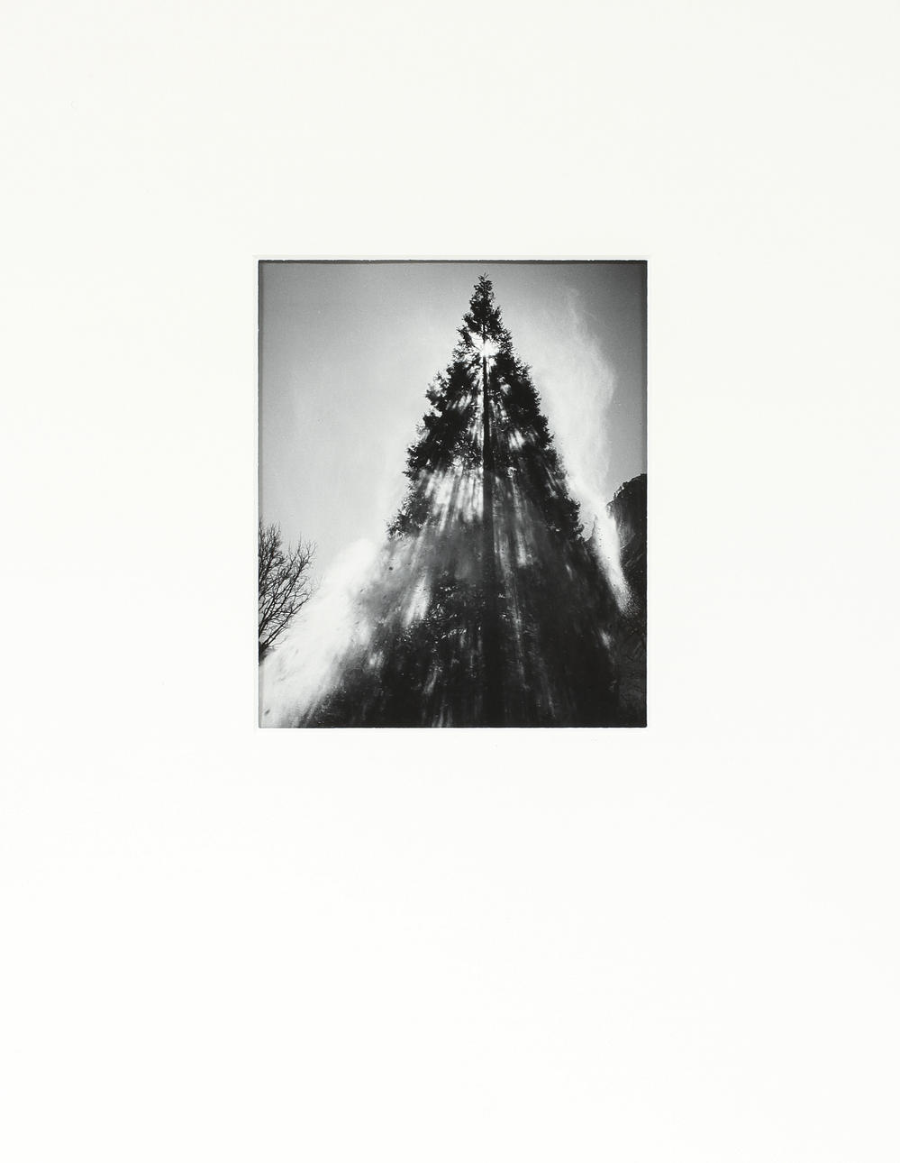 ANSEL ADAMS. silvergelatin.