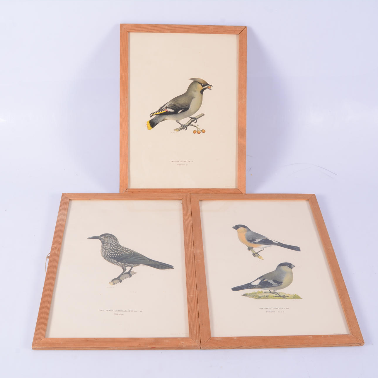 LITOGRAFISKA TRYCK, 3 st, efter von Wright, 1900-tal.