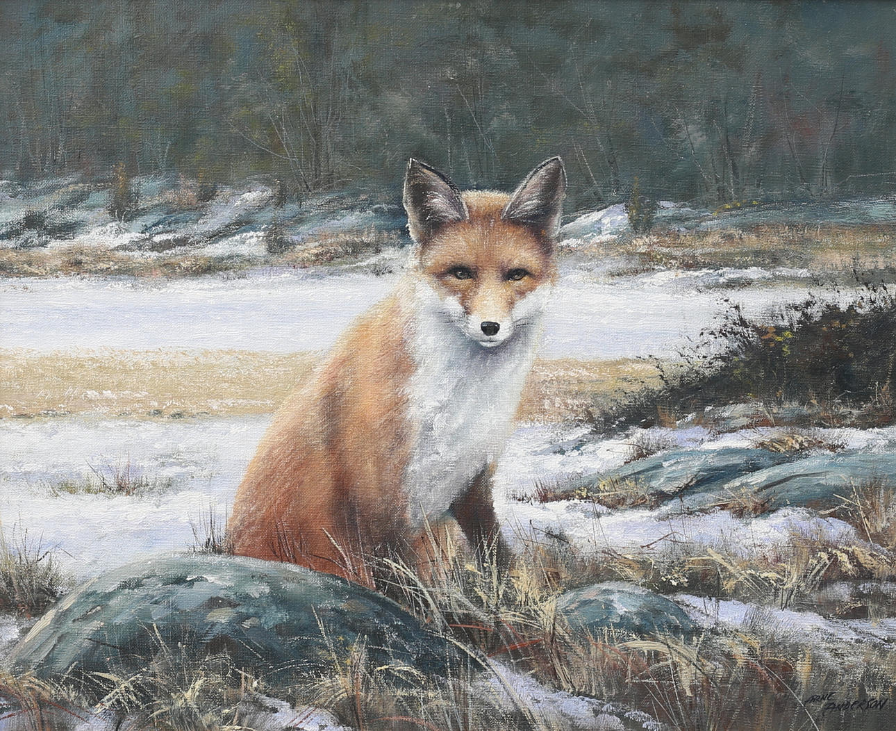 ARNE ANDERSON. Fox, oil on canvas, signed.