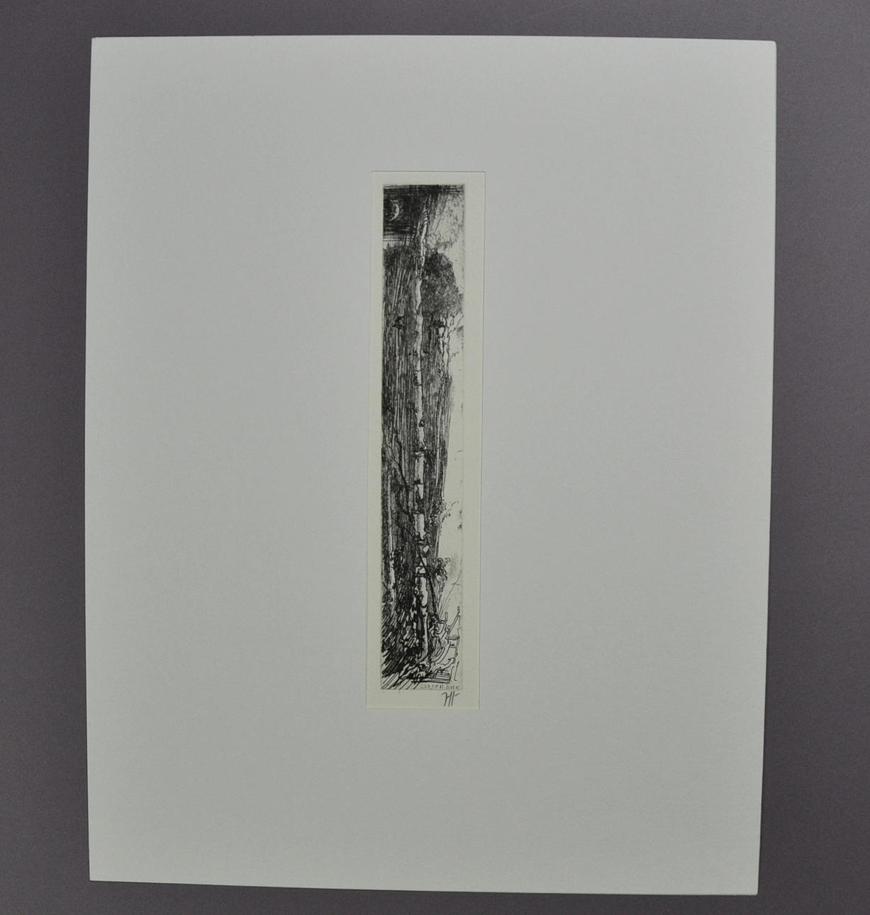 HORST JANSSEN. GRAF.