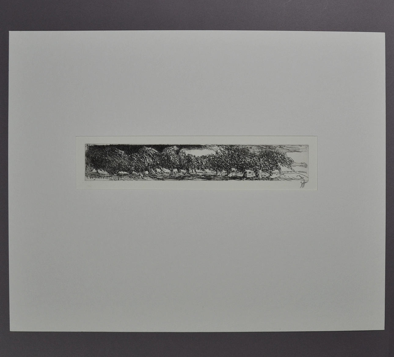 HORST JANSSEN. GRAF.