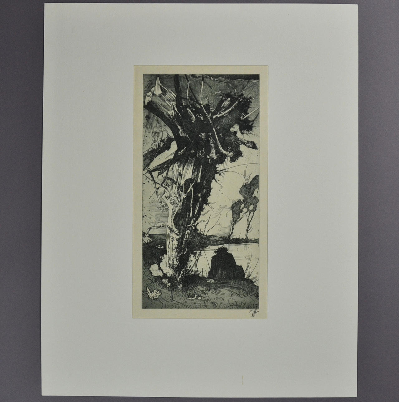 HORST JANSSEN. GRAF.