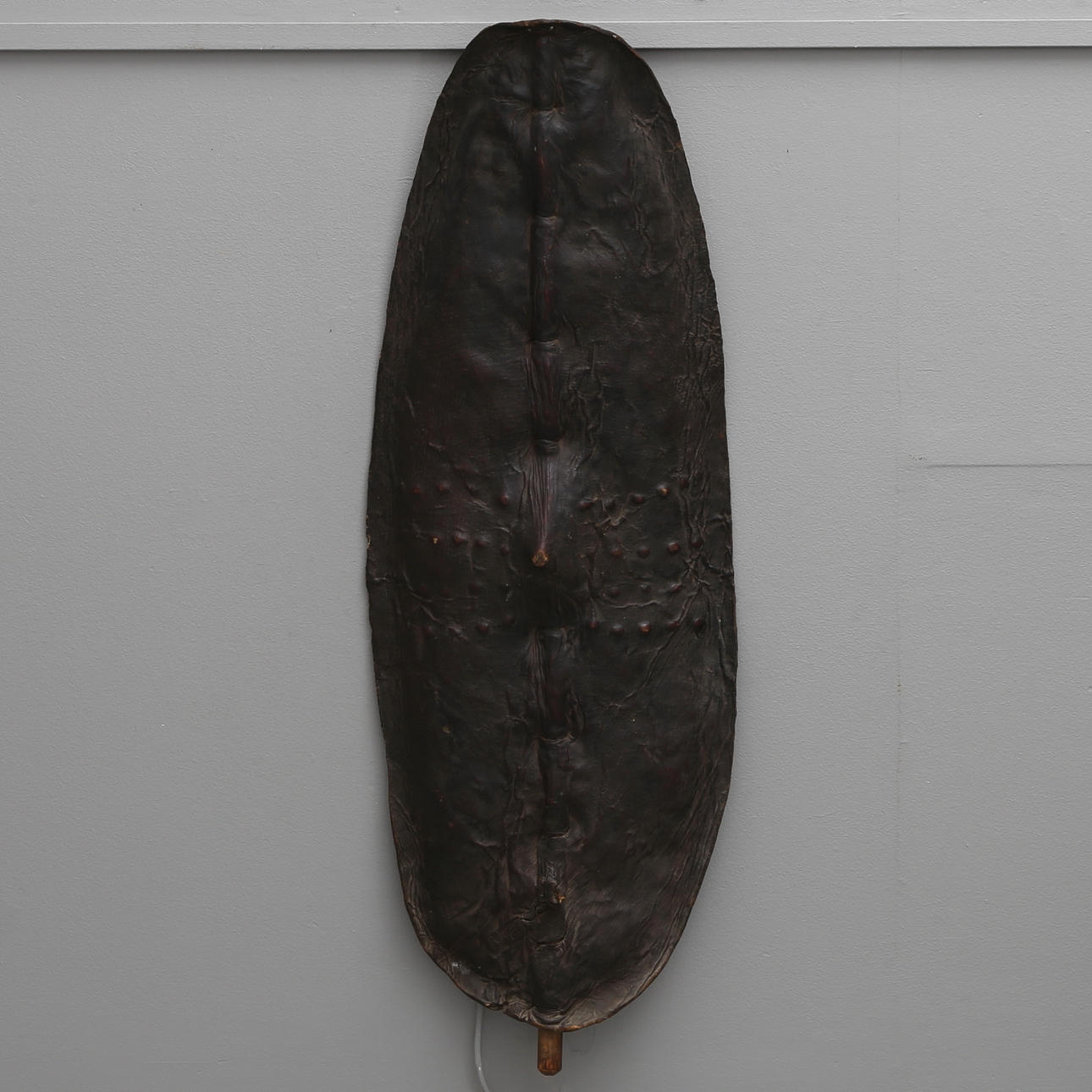 SHIELD, Luhya-folk, Kenya, flodhesteskind og hårdttræ.