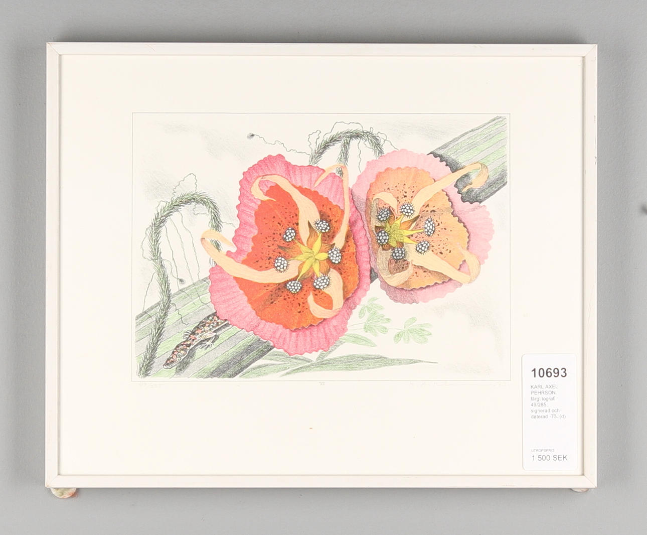 KARL AXEL PEHRSON. färglitografi 49/285, signerad och daterad -73.