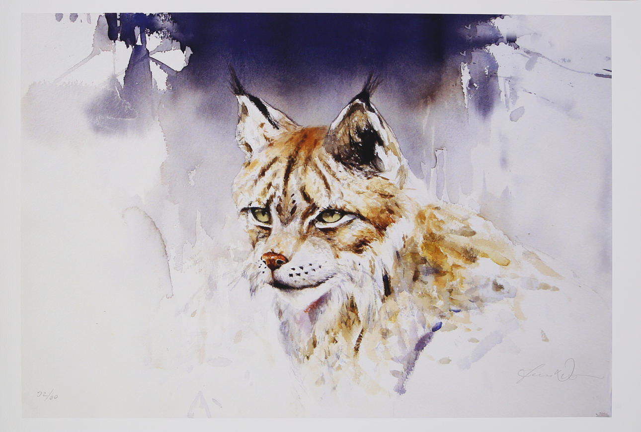JONAS NILSSON. Giclee print, lynx, numbered 32/60, signed.