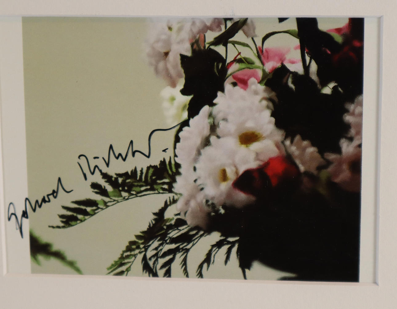 GERHARD RICHTER. "Blumen", Postkarte, handsigniert.