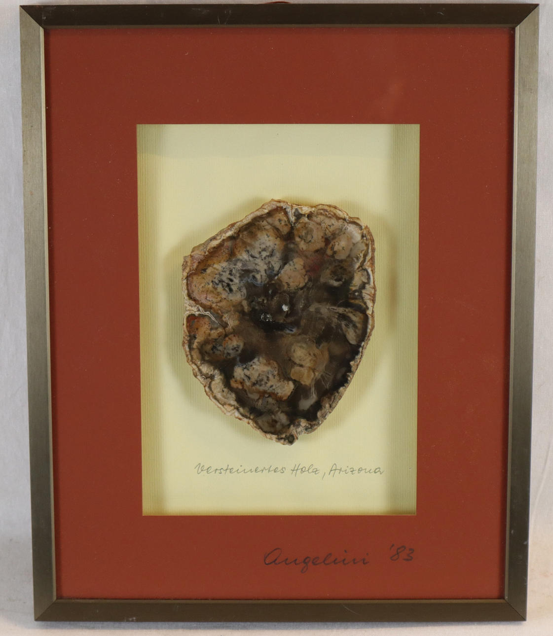 VERSTEINERTES HOLZ - ARIZONA.