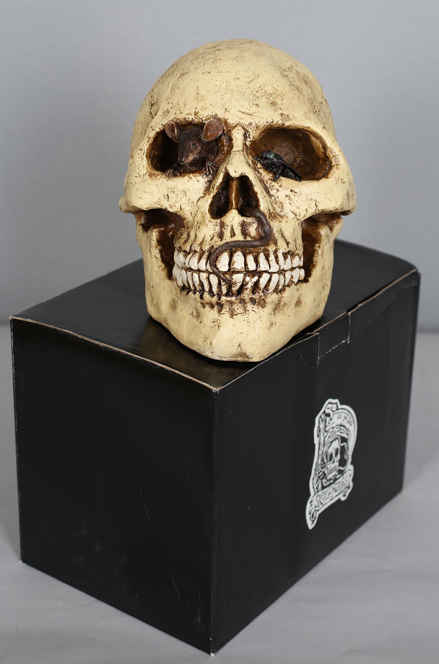 DÖDSKALLE. As ye sow Skullywass.