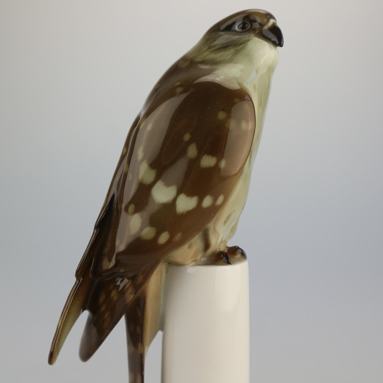 HUTSCHENREUTHER FALKE.