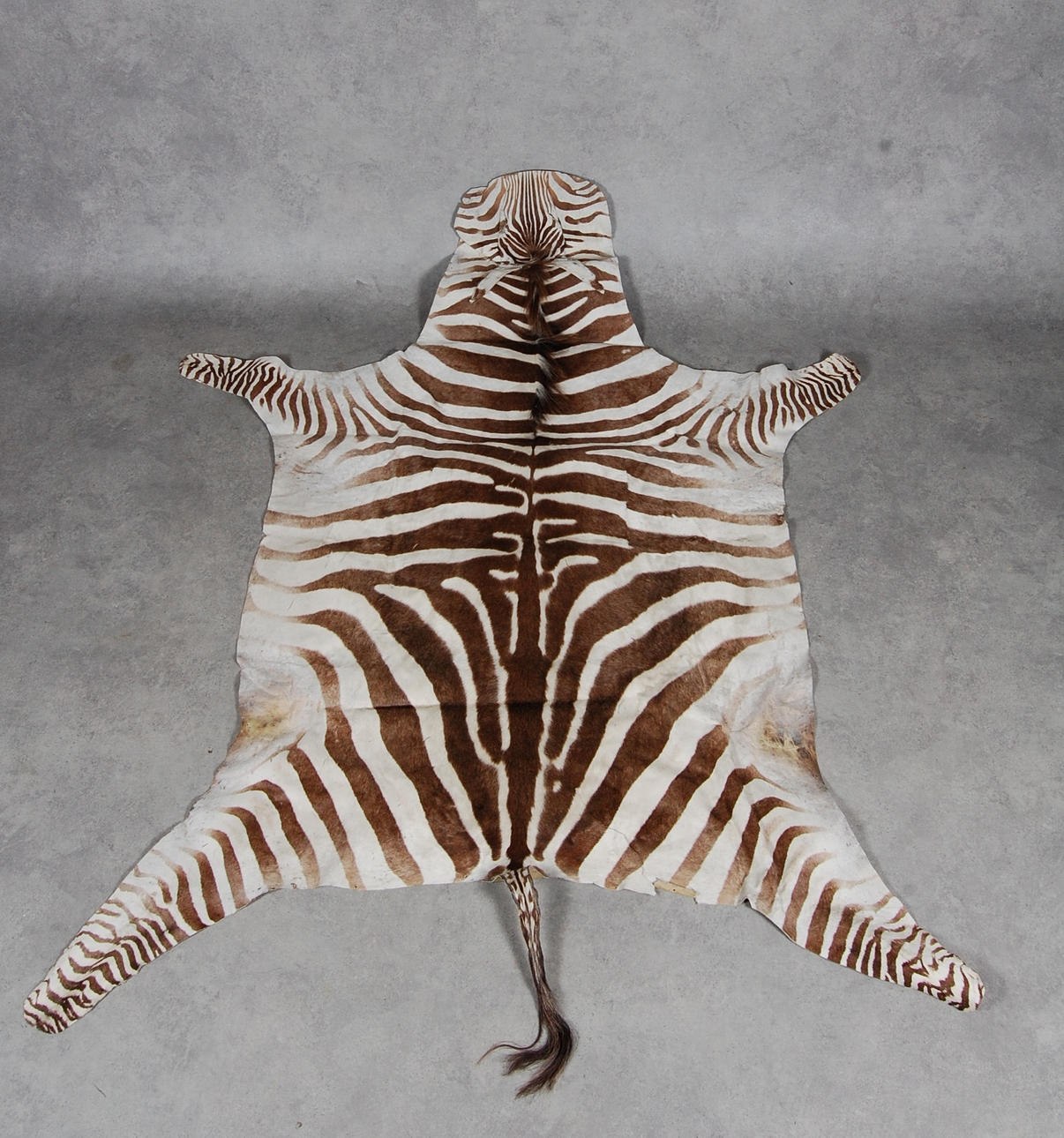 ZEBRASKINN, 1900-tal.