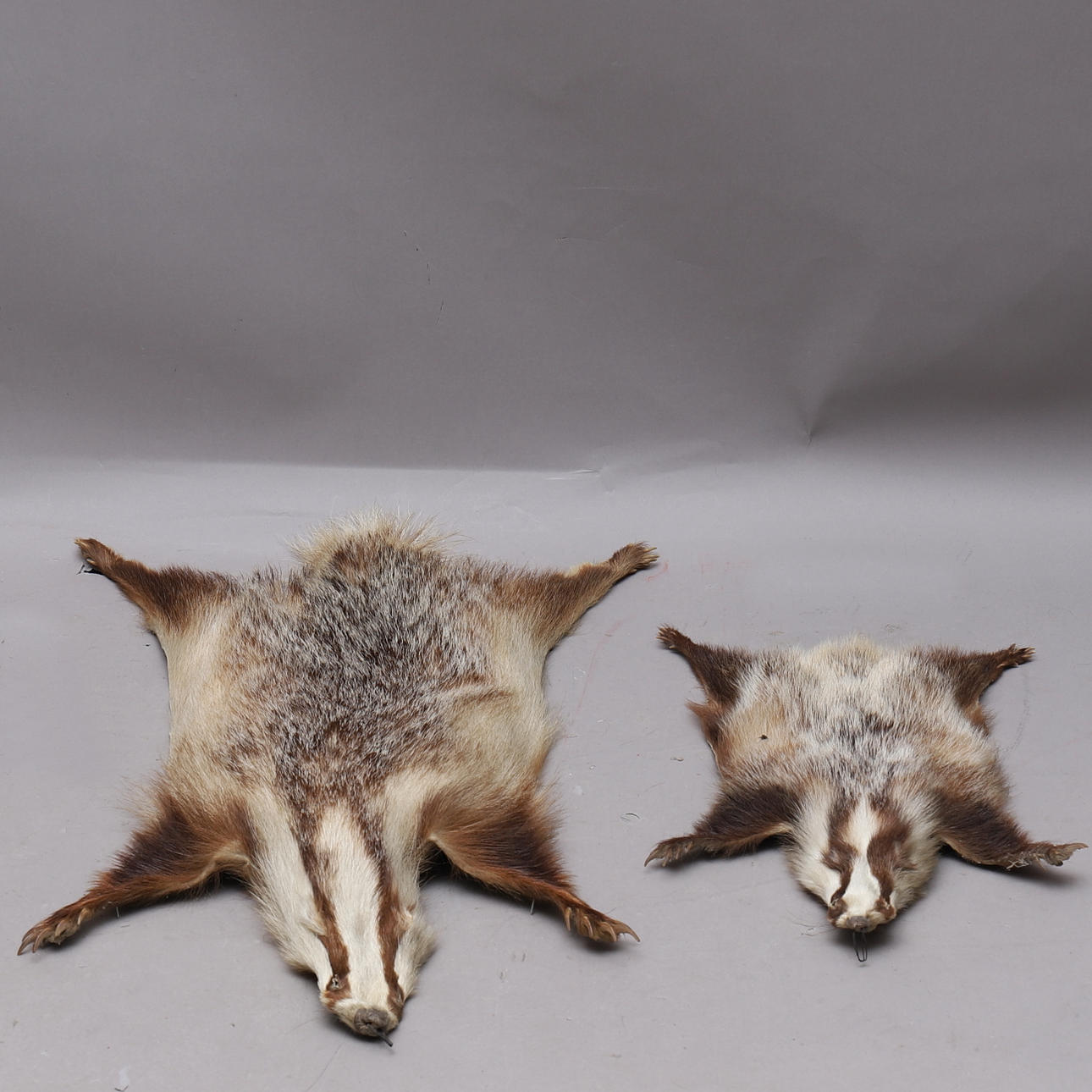 GRÄVLINGSSKINN, 2 st.