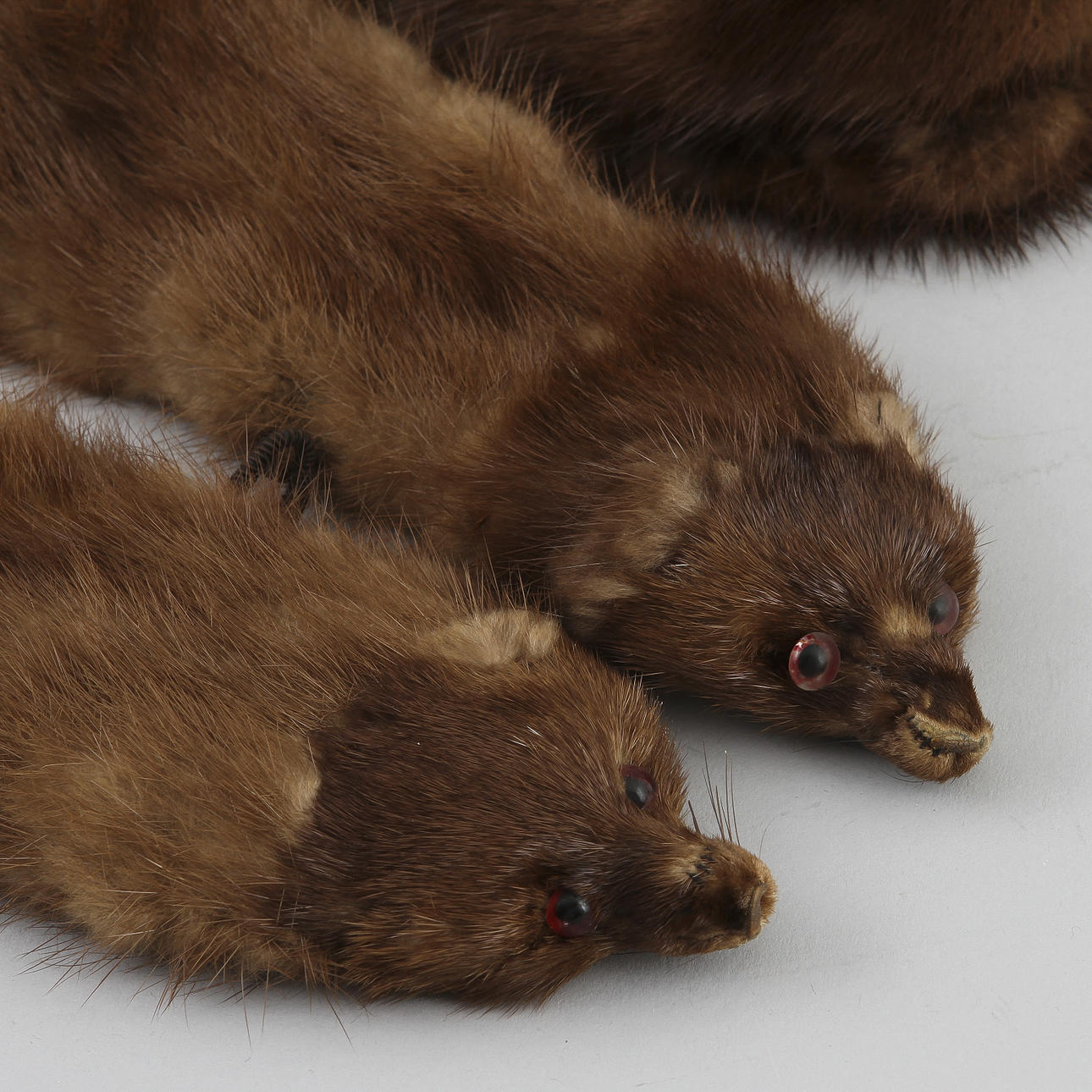 STOLA och KRAGE, Mink.