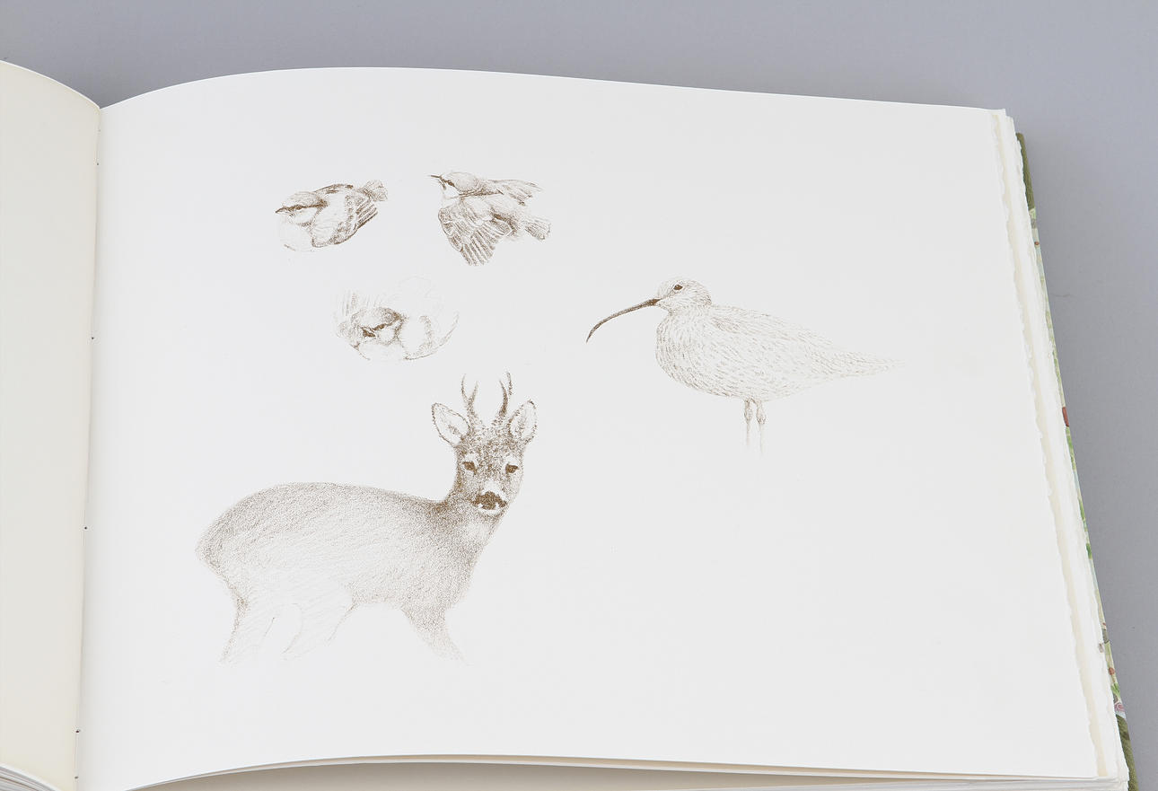 LENNART SAND. Skisser, efter naturen och på sten ritade av Lennart Sand.