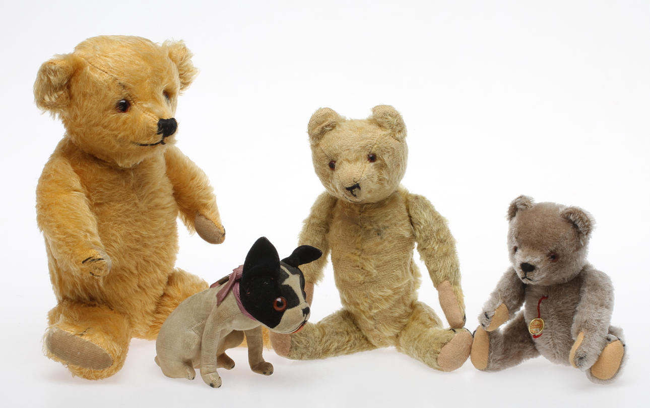 HERMANN 3 nallar och en bulldog.