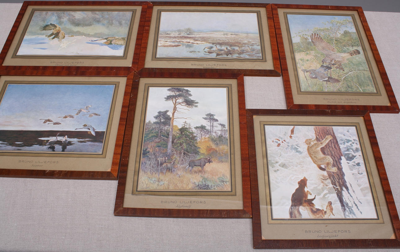BRUNO LILJEFORS. tavlor, 6 st, tryck, Bruno Liljefors.