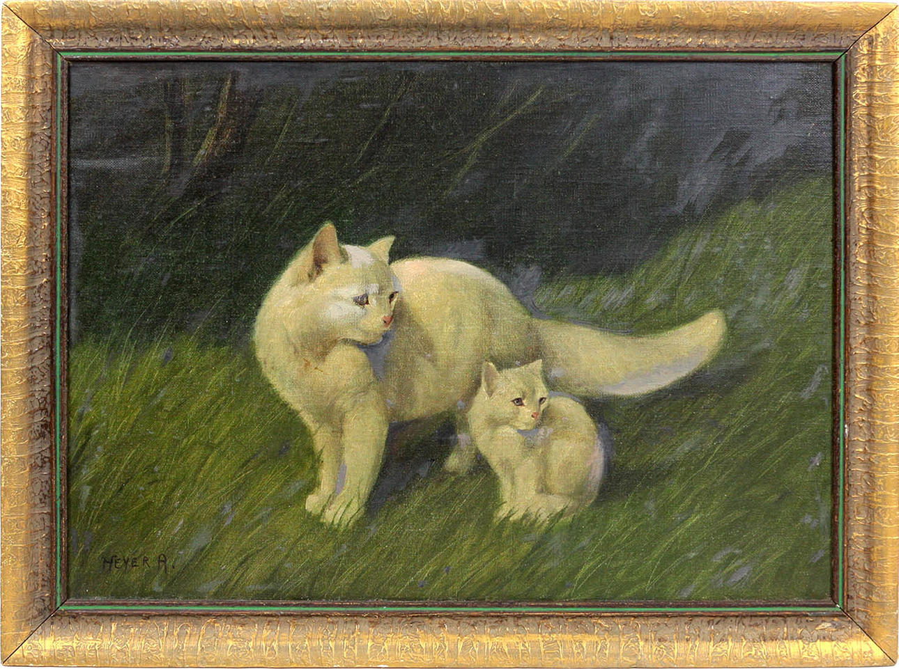 PERSISKA KATTER, HEYER, ARTHUR.