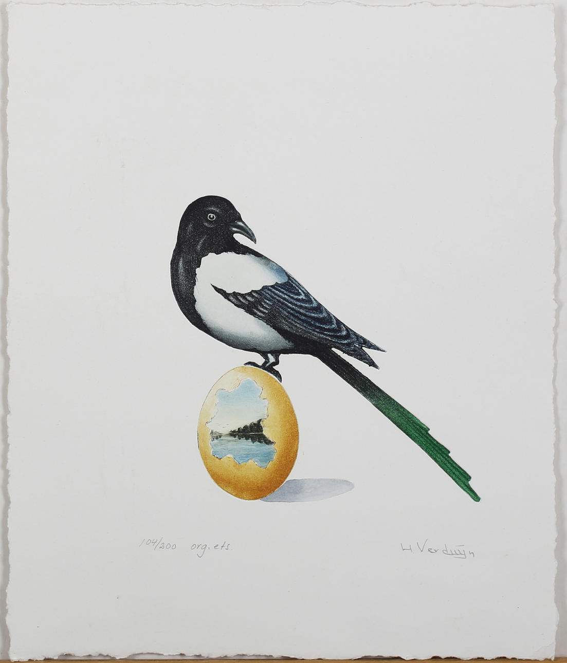 HANS VERDUYN. Skata. Färgetsning. Signerad H Verduyn. 104/200.