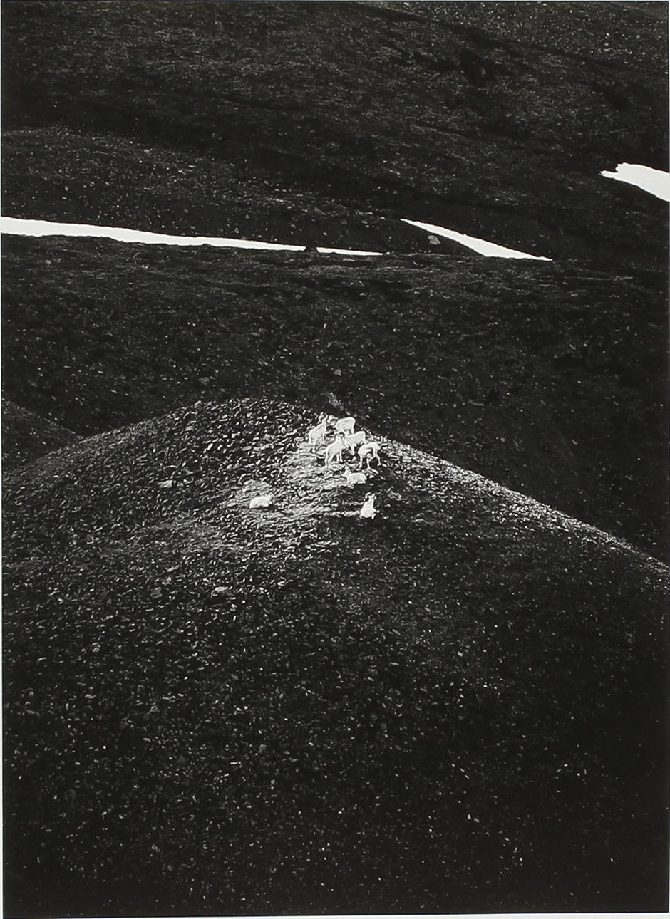 SVEN GILLSÄTER. silvergelatin, stämplad a tergo, "Sven Gillsäter/Tiofoto".