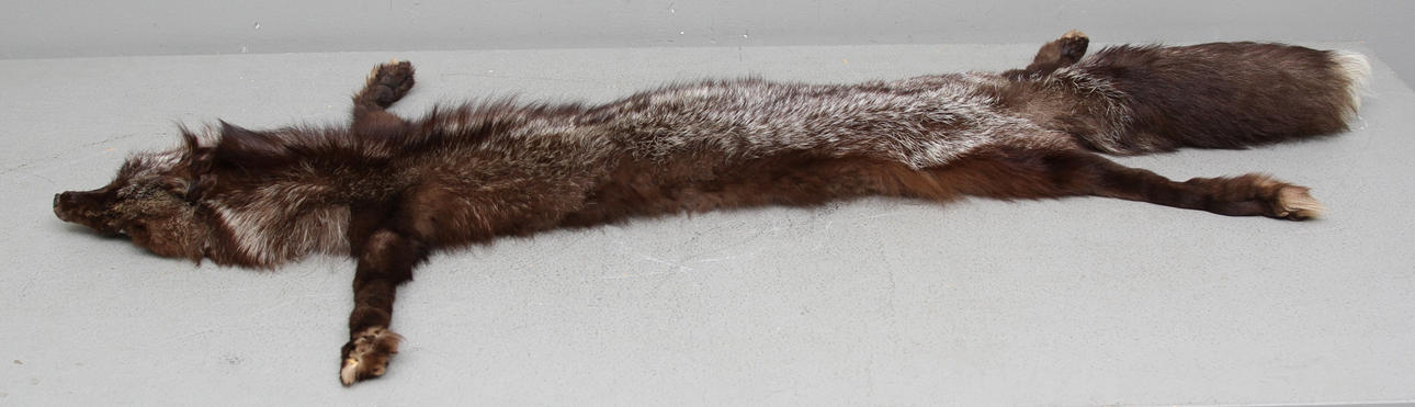 PÄLSSTOLA, räv, Hesse & Lundström.