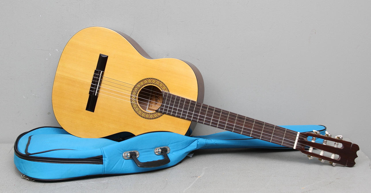 AKUSTISK GITARR, Aria, 1900-tal.