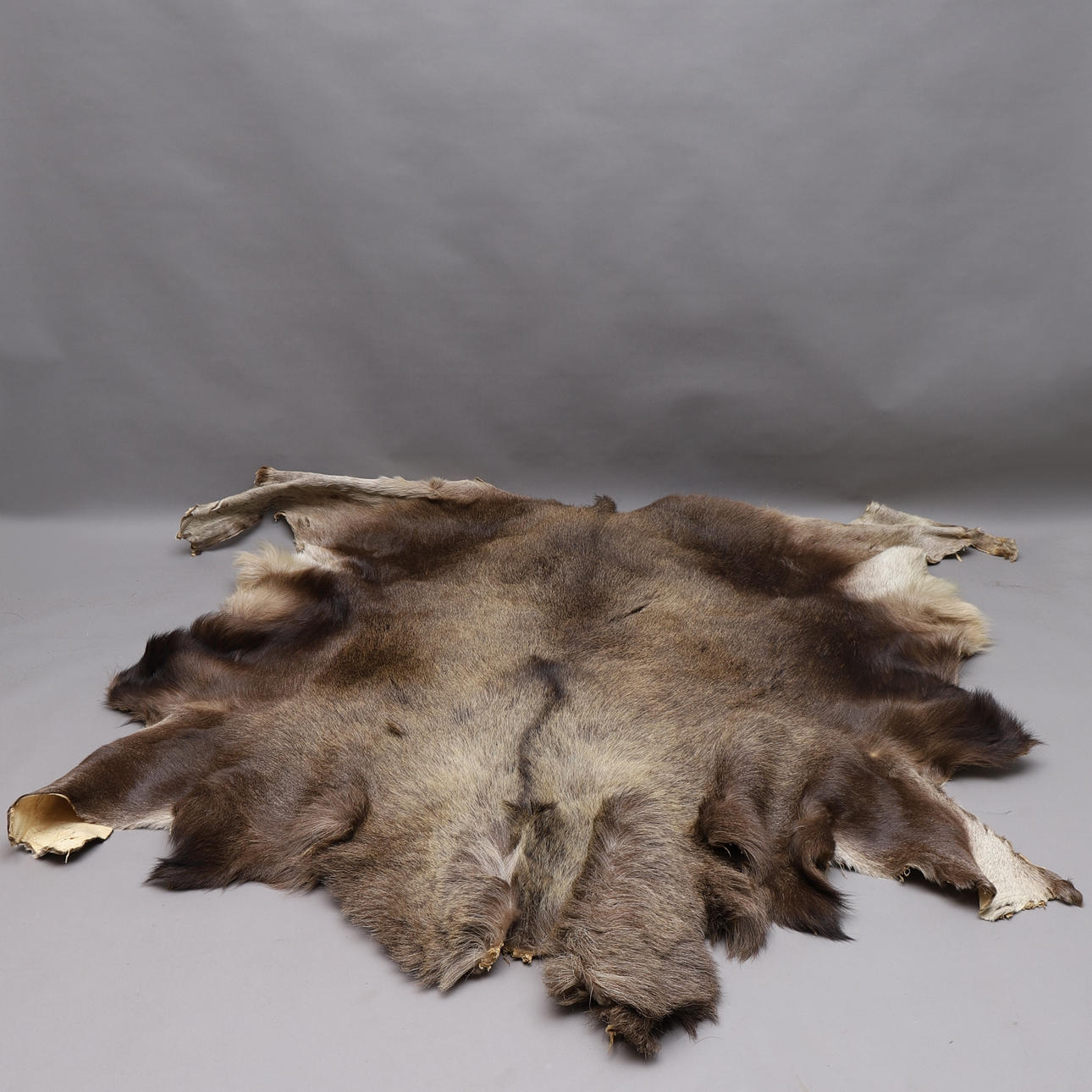 MOOSEKIN, noin 200x200 cm.