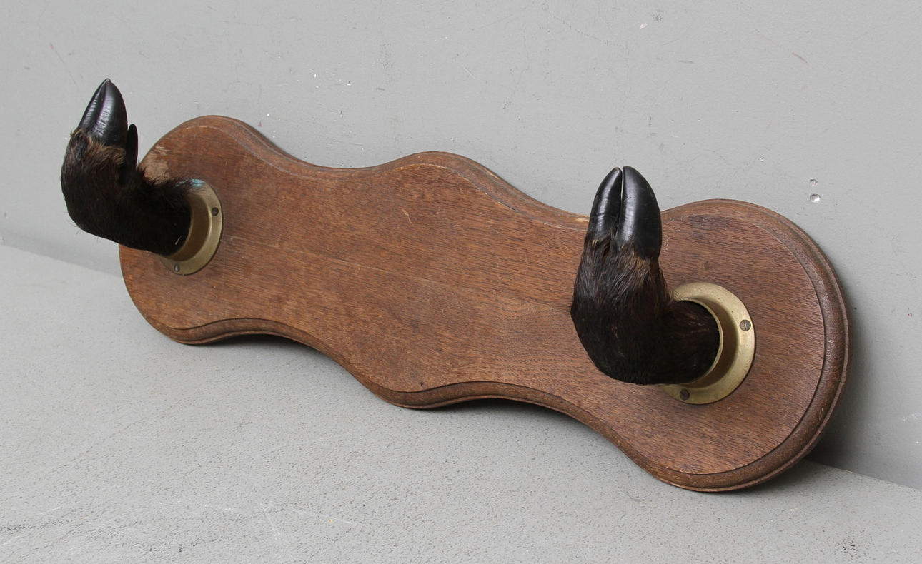 KLÄDHÄNGARE, vildsvins klövar, 1900-talets hörsta hälft.