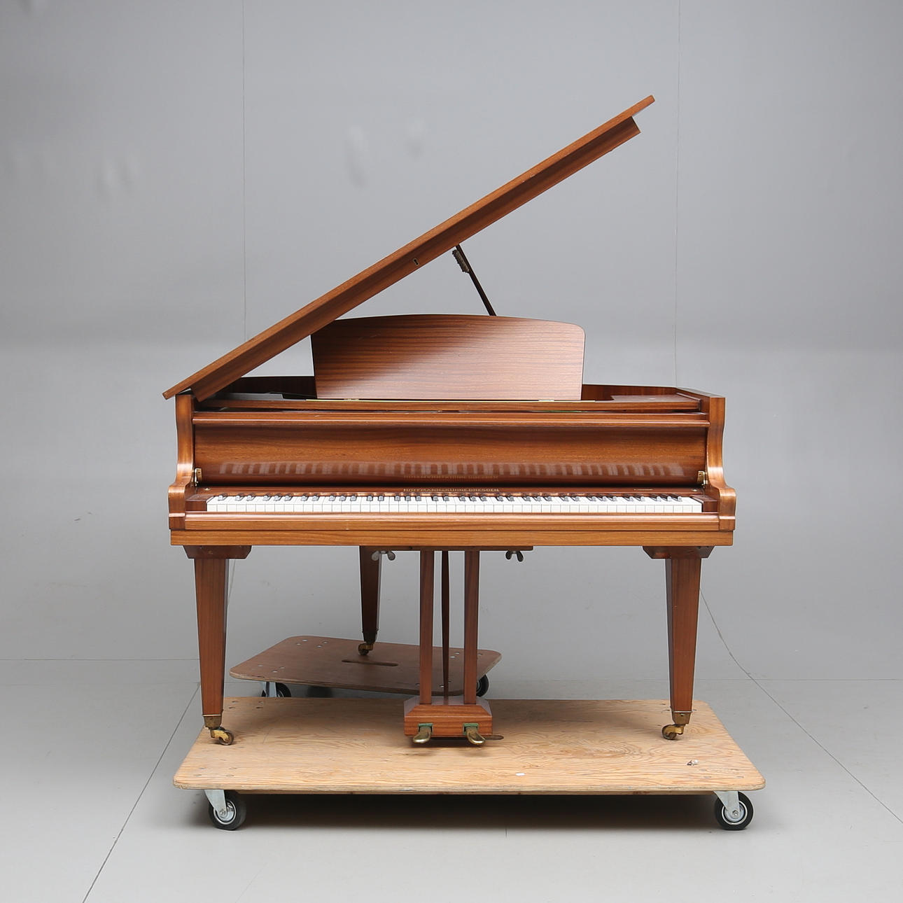 FLYGEL, Hoffmann & Kühne, Dresden, 1900.