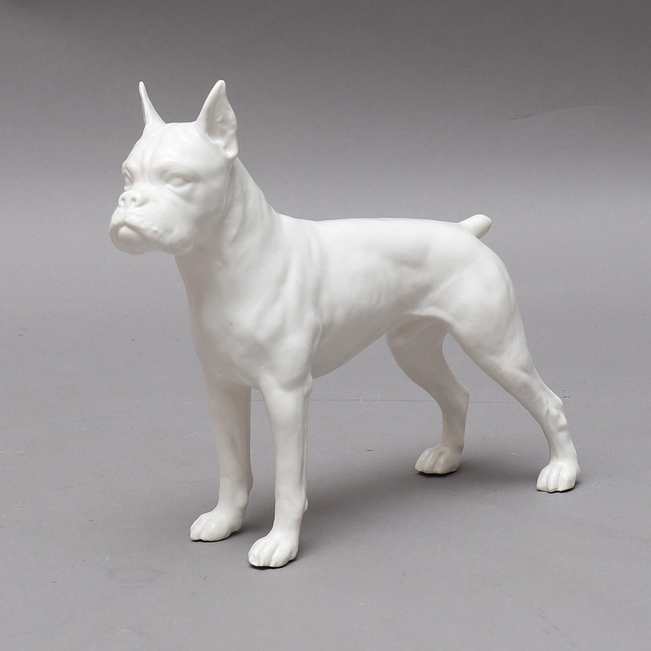 FIGURE, ceramic, white, boxer dog.