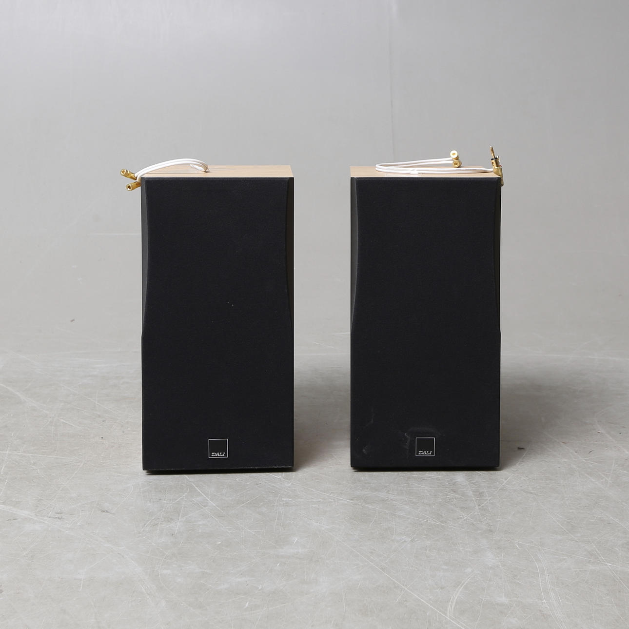 SPEAKERS, a pair, Dali, Concept 2, Denmark.