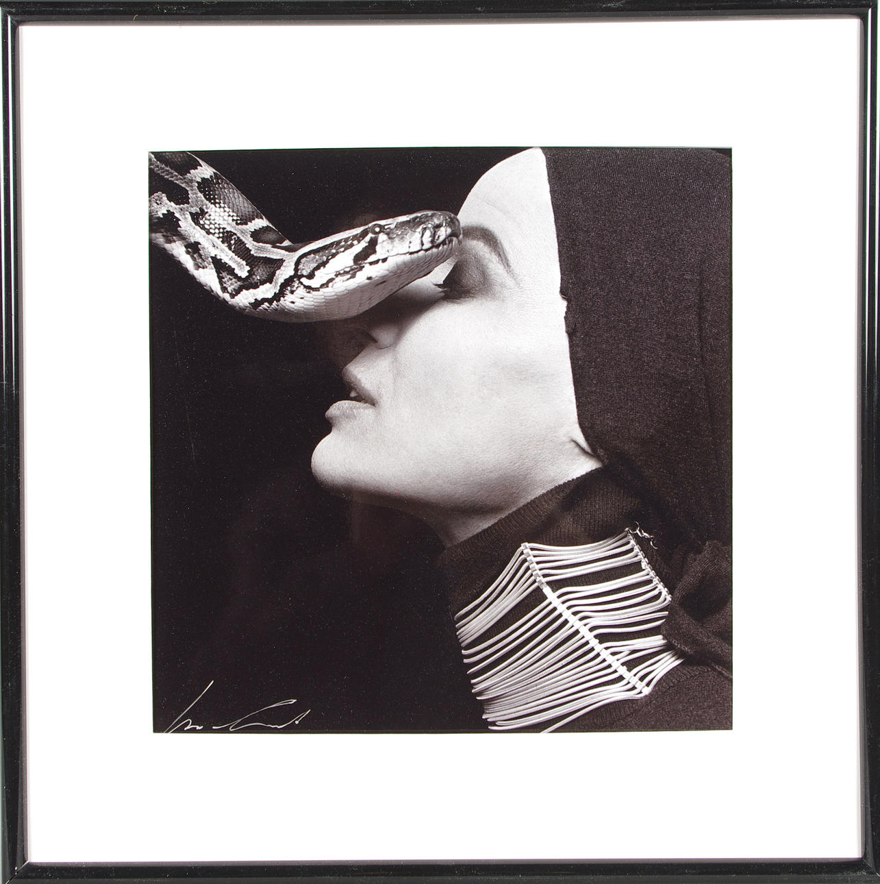 MICHEL COMTE. signerat foto, Veruschka.