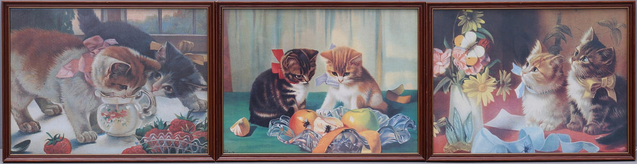 KATTAVLOR, 3 st, tryck.