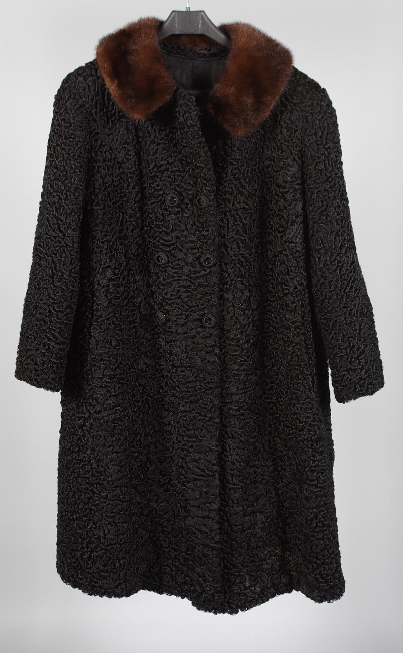 PERSIANPÄLS med pälskrage.