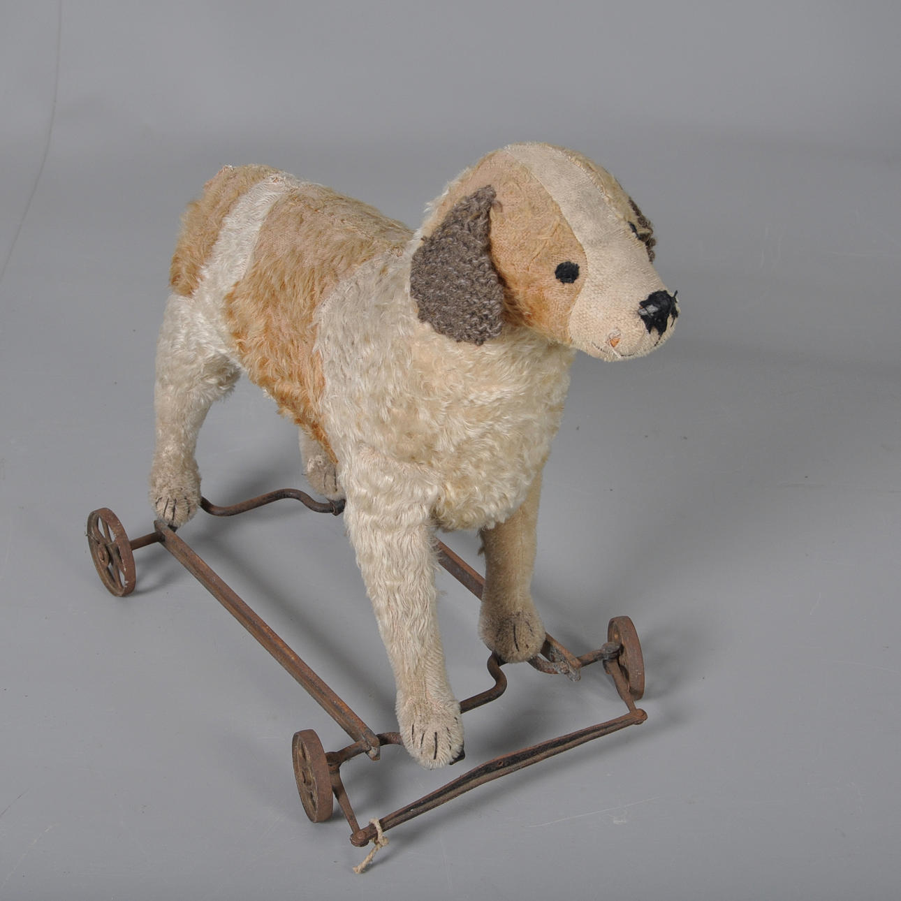 HUND AUF RÄDERN, 1910-20.