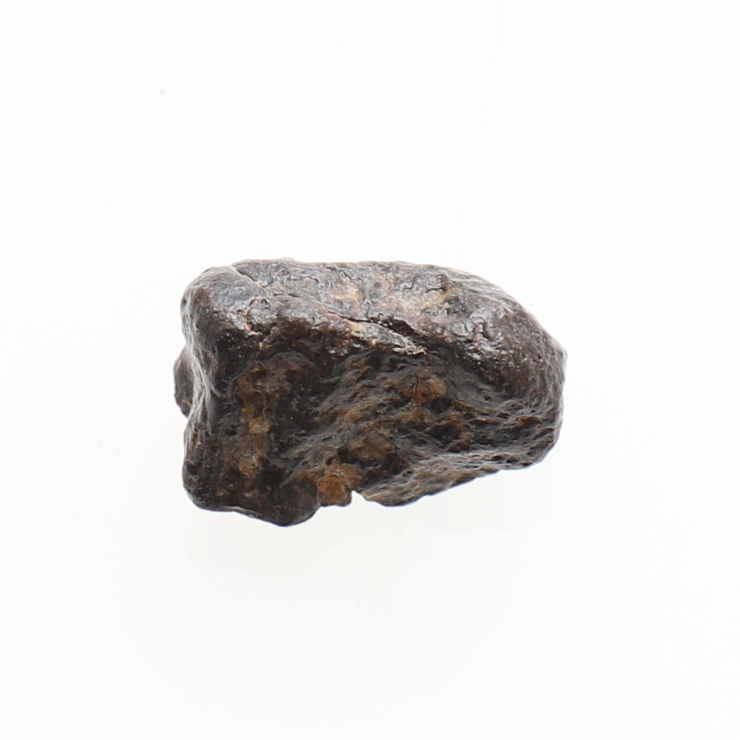 METEORIT, vom Meteor NWA 869.