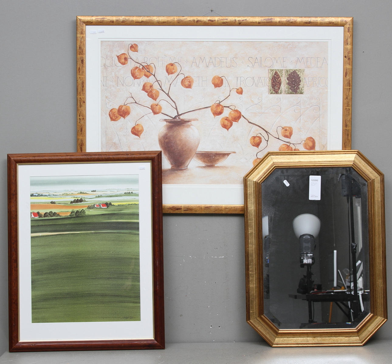 SPEGEL samt tavlor 1900-2000-tal.