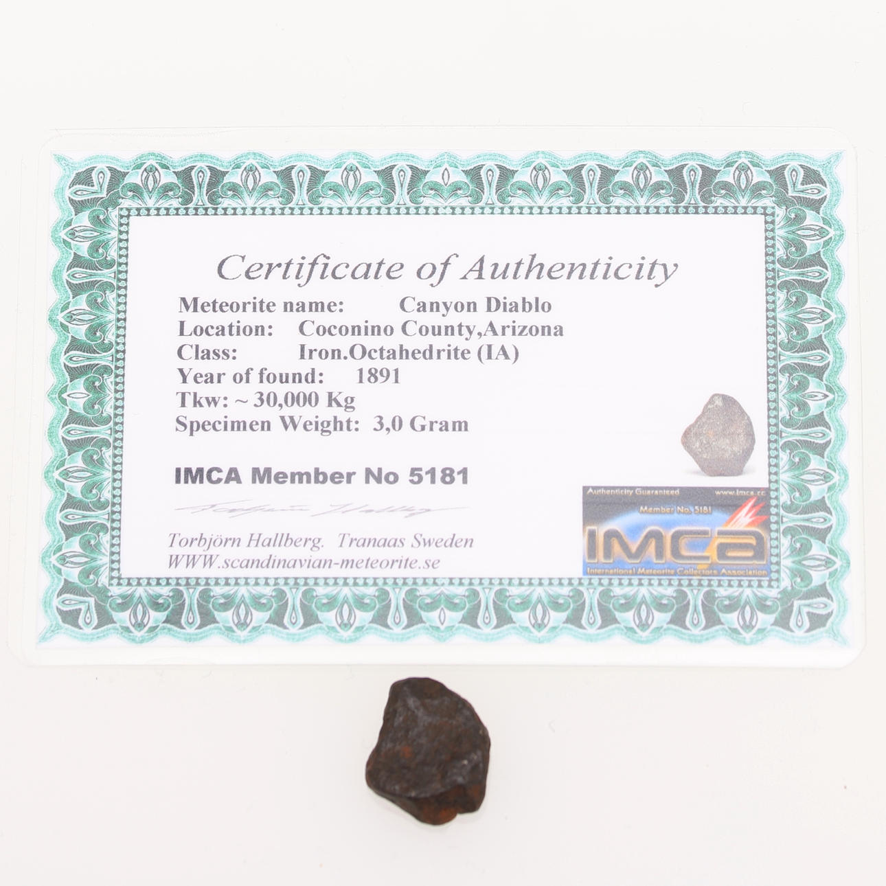 METEORITO, del meteoro Cañón Diablo.