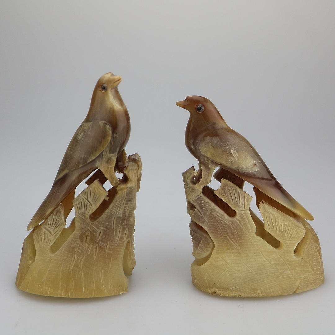 FIGURAS AVES DOS CUERNOS.