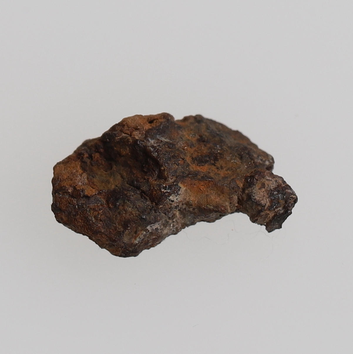 METEORIT, vom Meteor Vaca muerta.