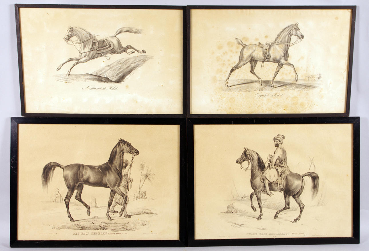 ÄLDRE TRYCK, 4 stycken, hästar.