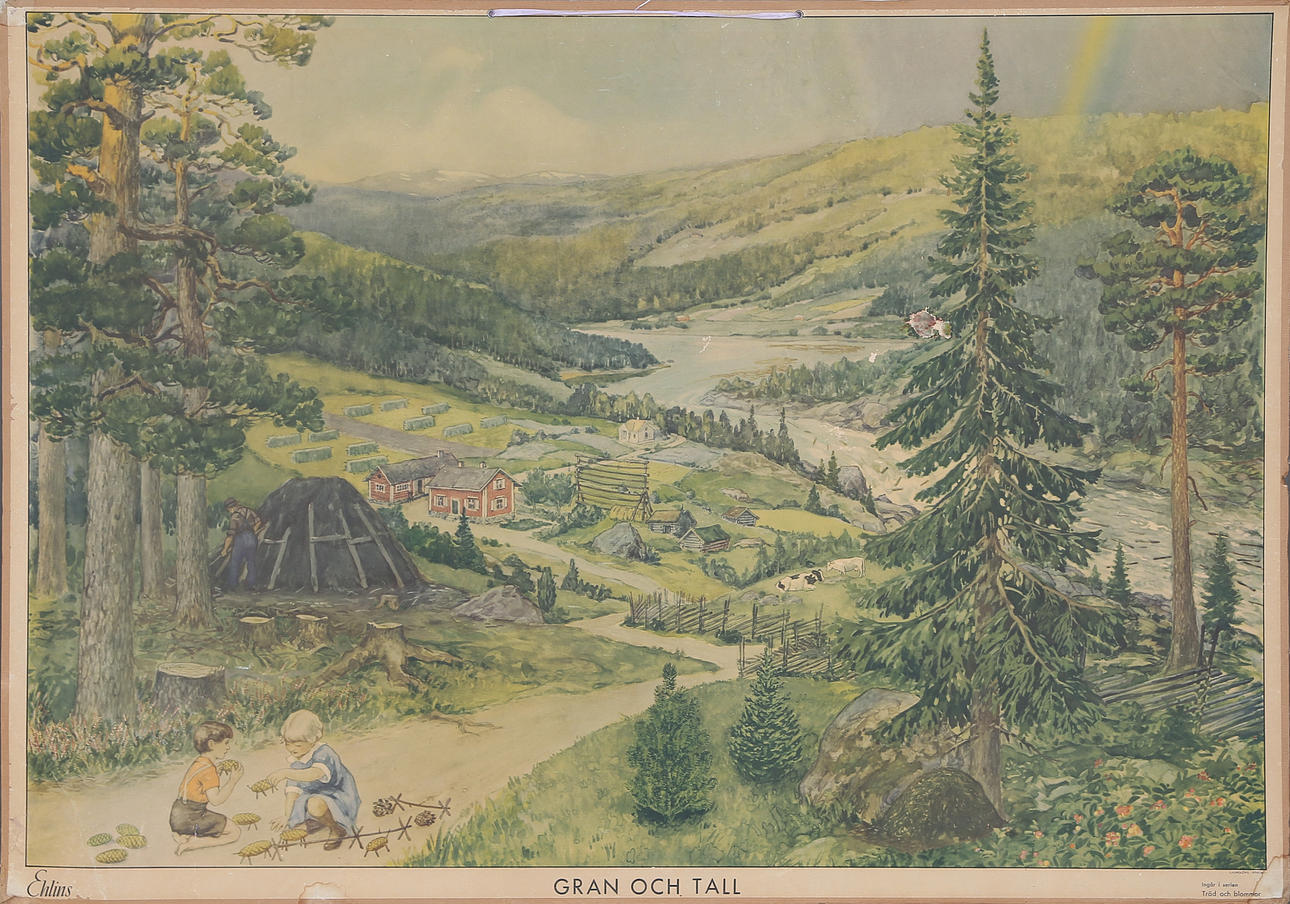 SCHOOL PLANSCH, cardboard, early 20th century.