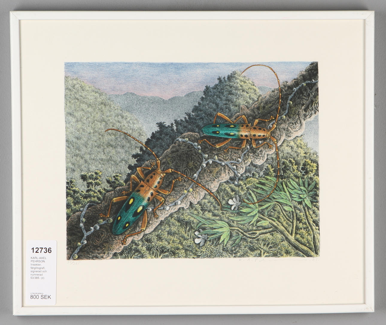 KARL-AXEL PEHRSON. Insekter, färglitografi, signerad och numrerad 53/385.